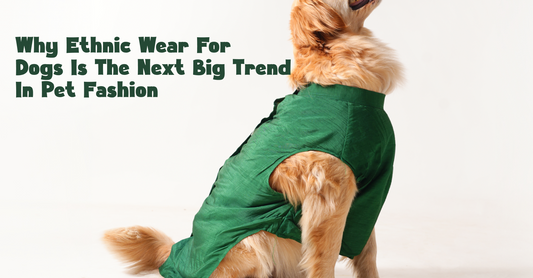 Why Ethnic Wear for Dogs is the Next Big Trend in Pet Fashion