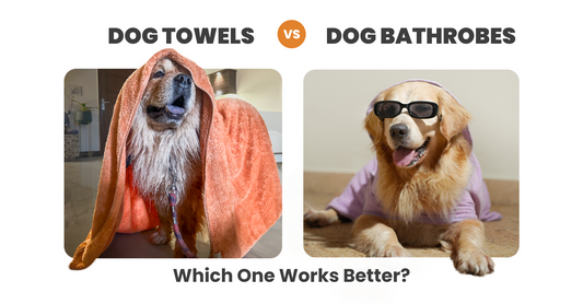 Dog Towels vs. Dog Bathrobes – Which One Works Better?