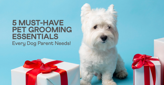5 Must-Have Pet Grooming Essentials Every Dog Parent Needs