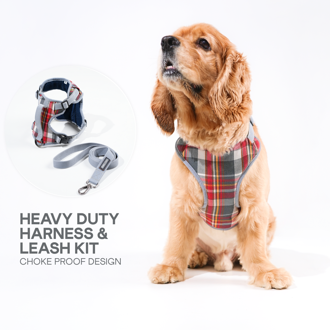 Heavy-duty harness kit for maximum comfort and zero choking- Denim Check Plaid