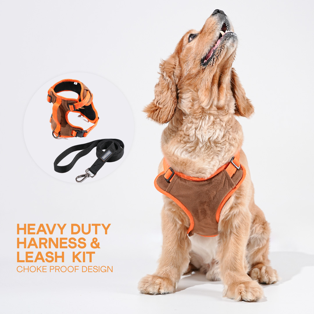 Buy Online Best Quality Harness and Leash For Dogs Barks Wags