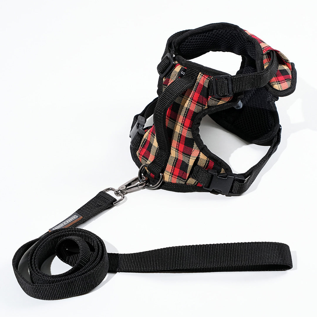 harness & leash