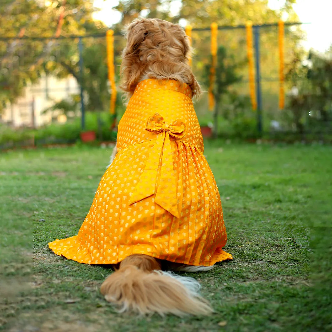 Embroidered Designer Lehenga - Yellow