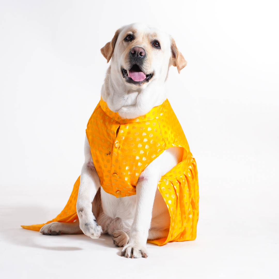 Embroidered Designer Lehenga - Yellow