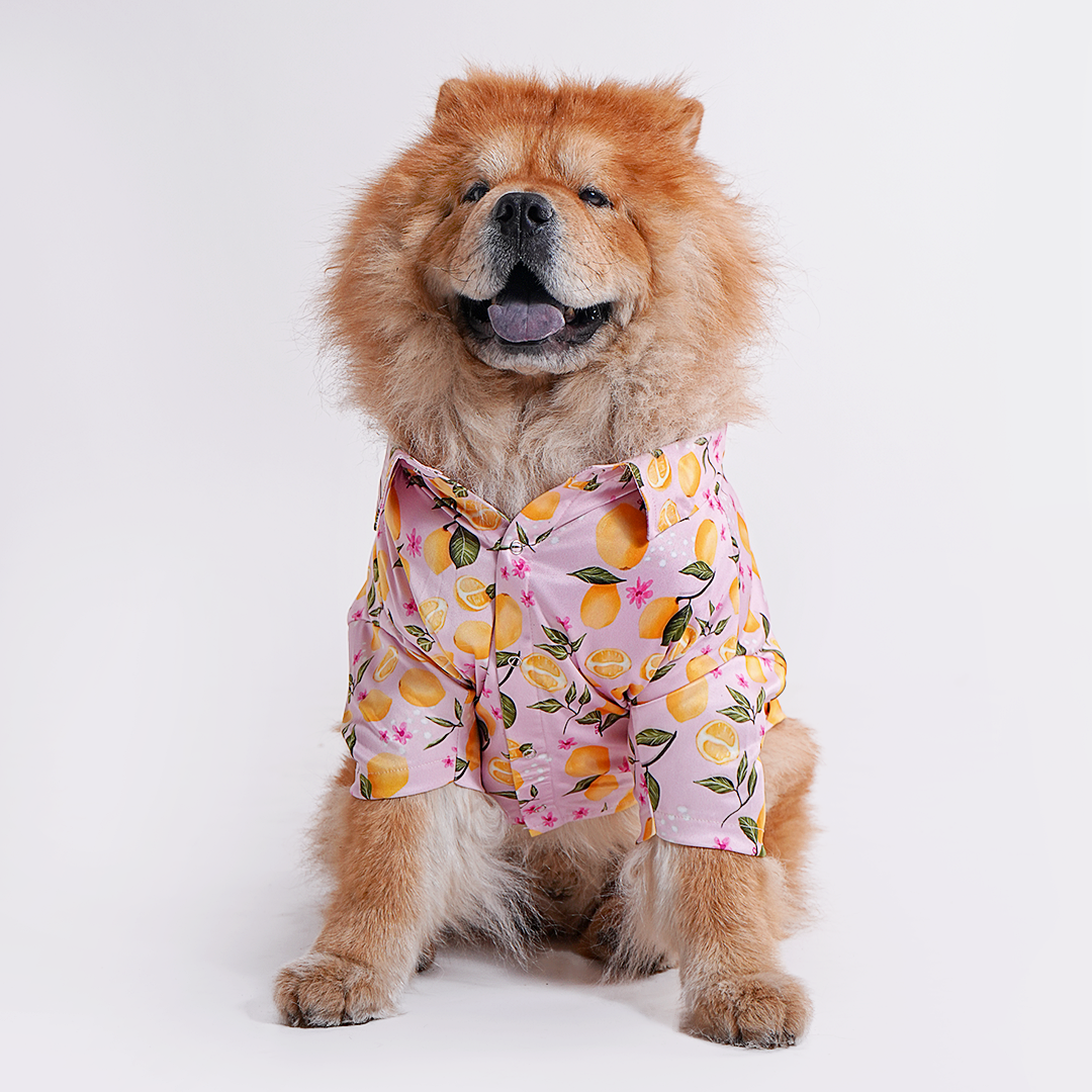 Printed Shirt for Dogs - Pink Petal Picnic