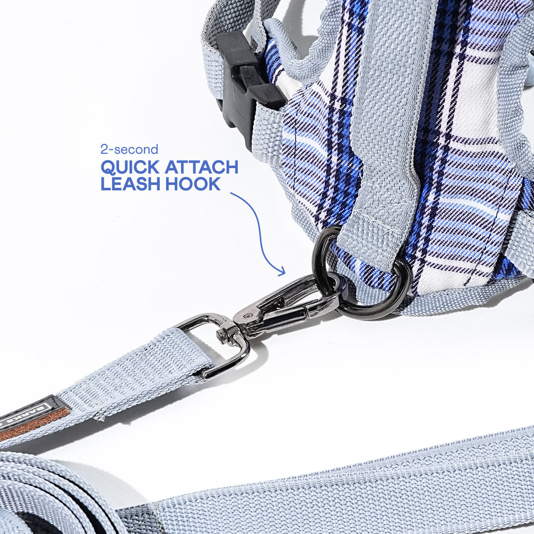 harness & leash