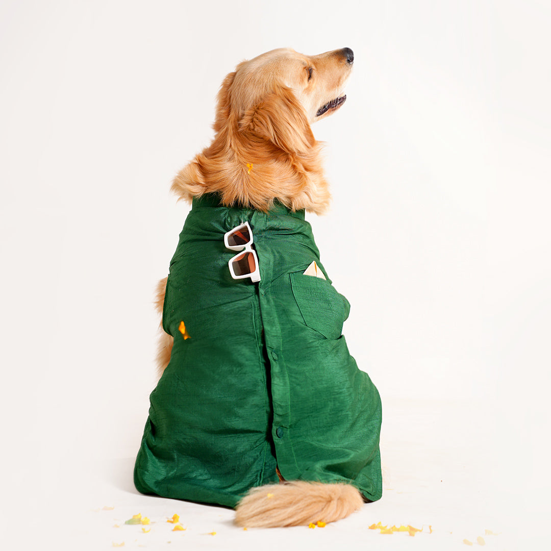 Dog Sherwani - GREEN