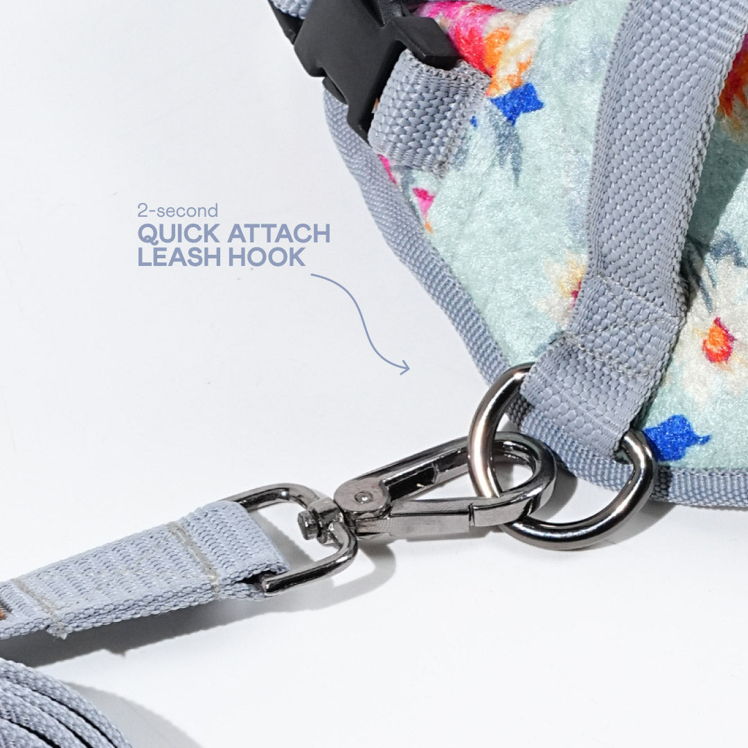 harness & leash