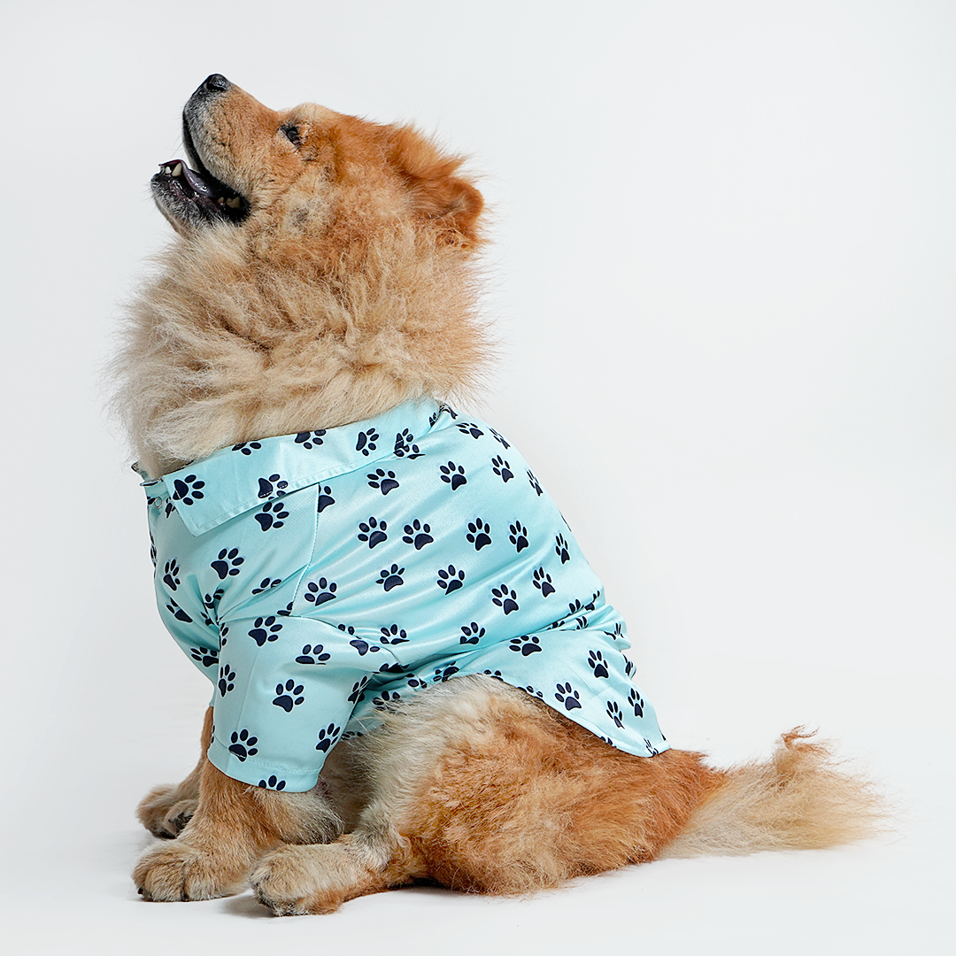 Printed Shirt for Dogs - Blue’s Clues