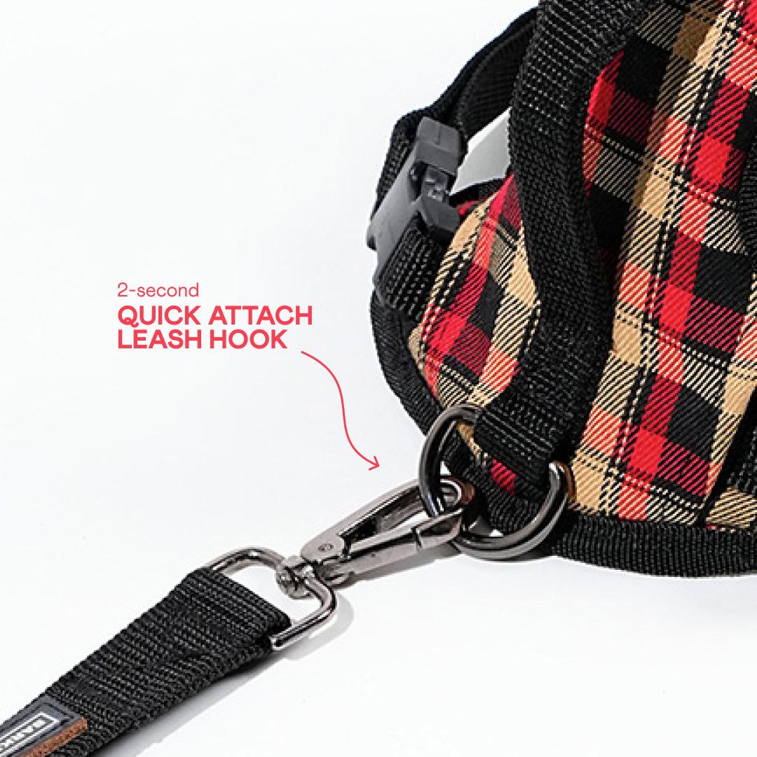 harness & leash