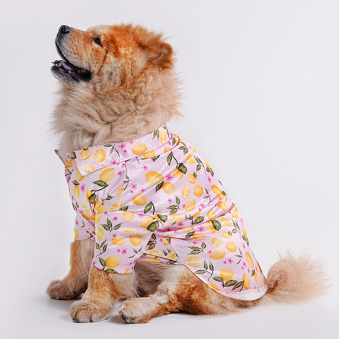 Printed Shirt for Dogs - Pink Petal Picnic