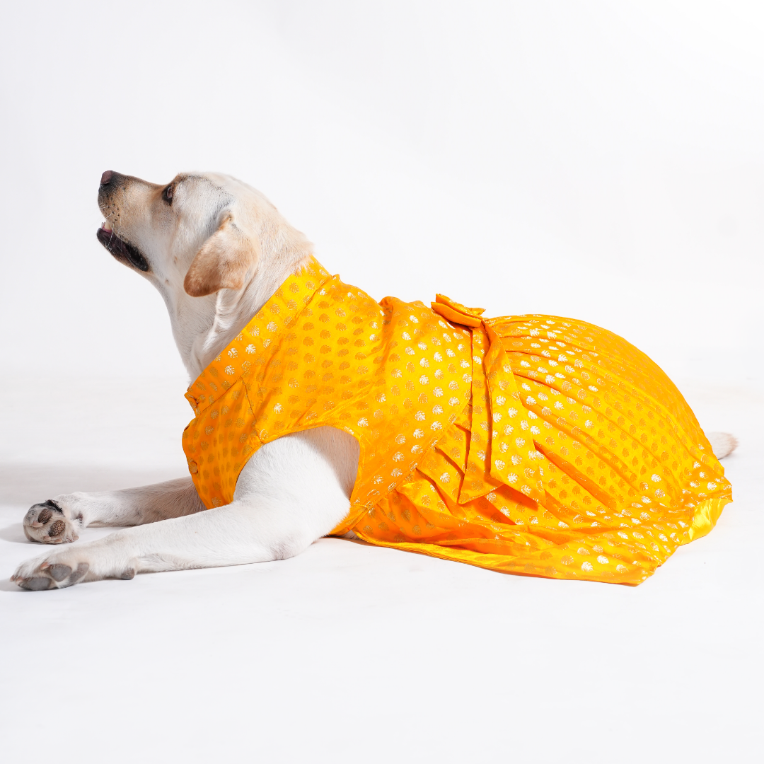 Embroidered Designer Lehenga - Yellow