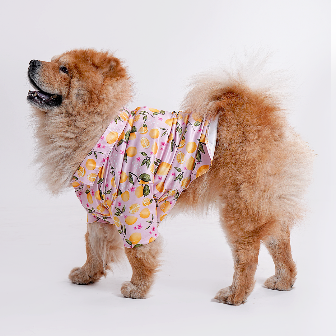 Printed Shirt for Dogs - Pink Petal Picnic