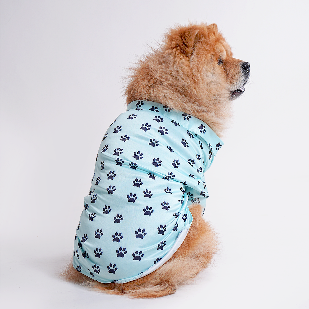 Printed Shirt for Dogs - Blue’s Clues