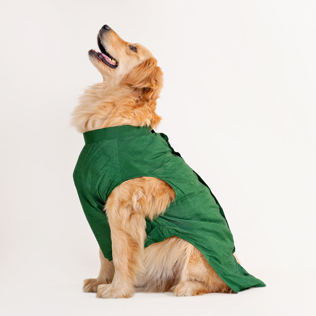 Dog Sherwani - GREEN