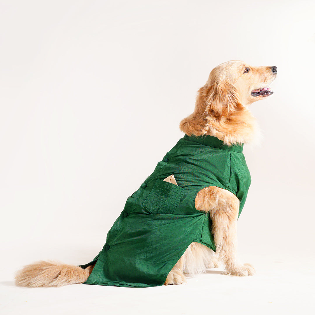 Dog Sherwani - GREEN