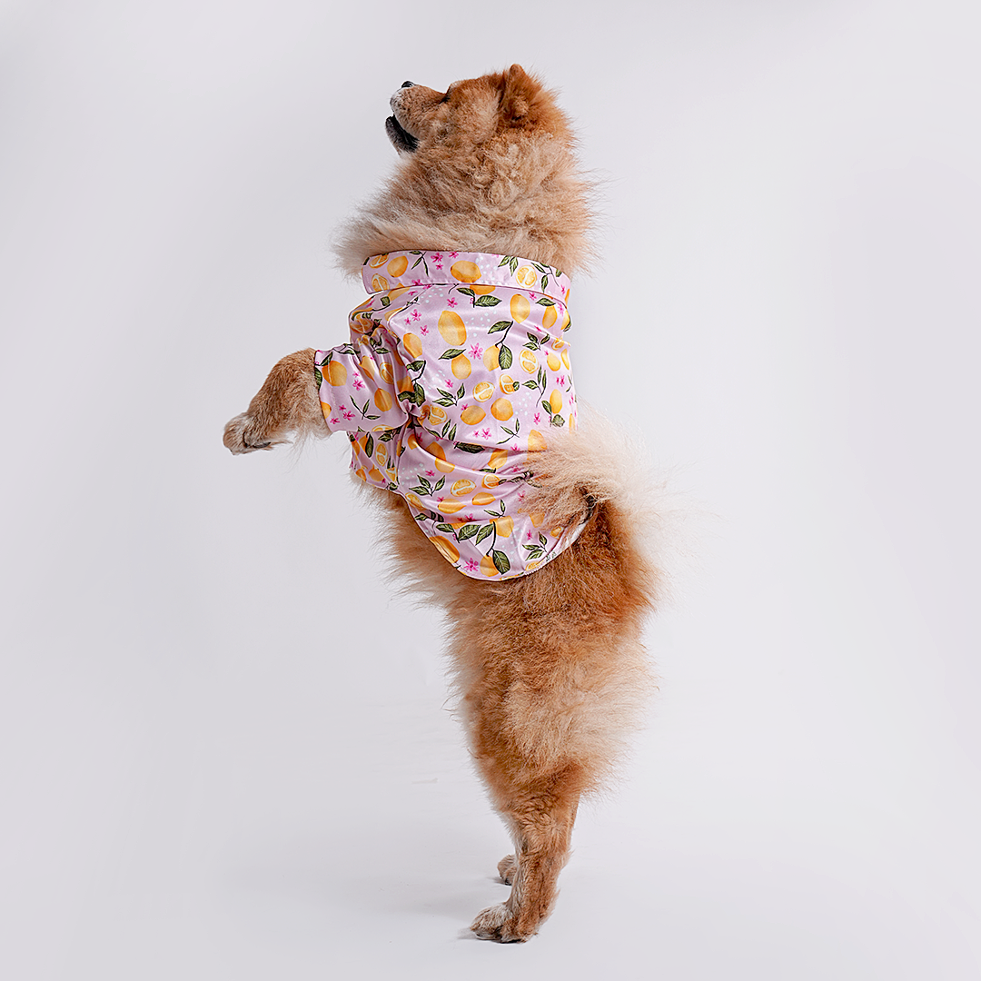 Printed Shirt for Dogs - Pink Petal Picnic