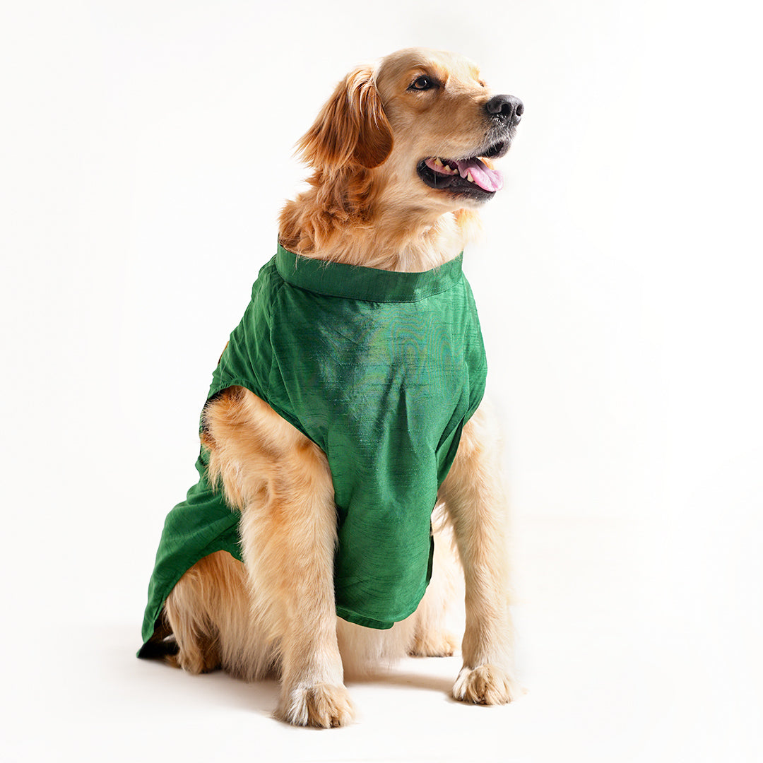 Dog Sherwani - GREEN