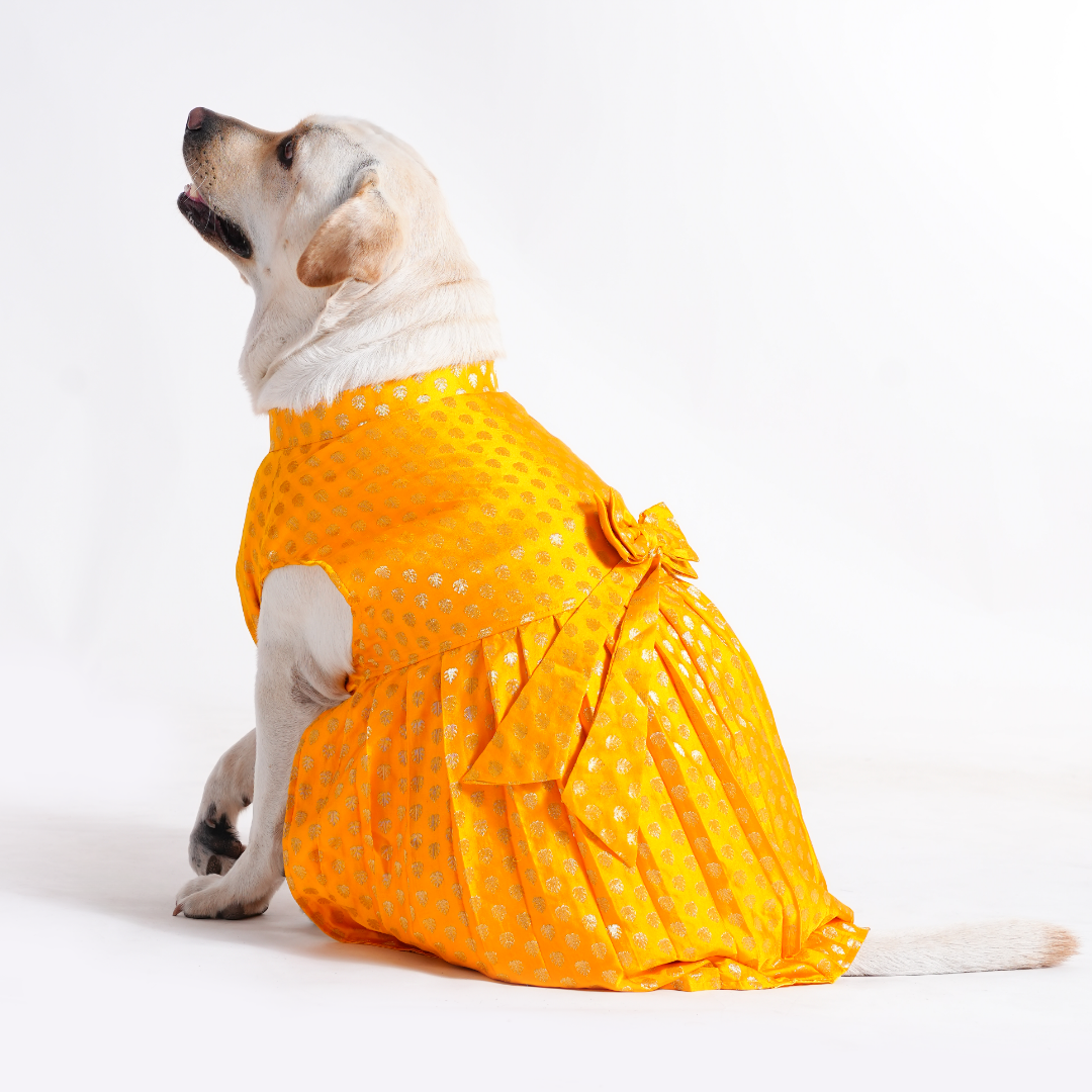 Embroidered Designer Lehenga - Yellow
