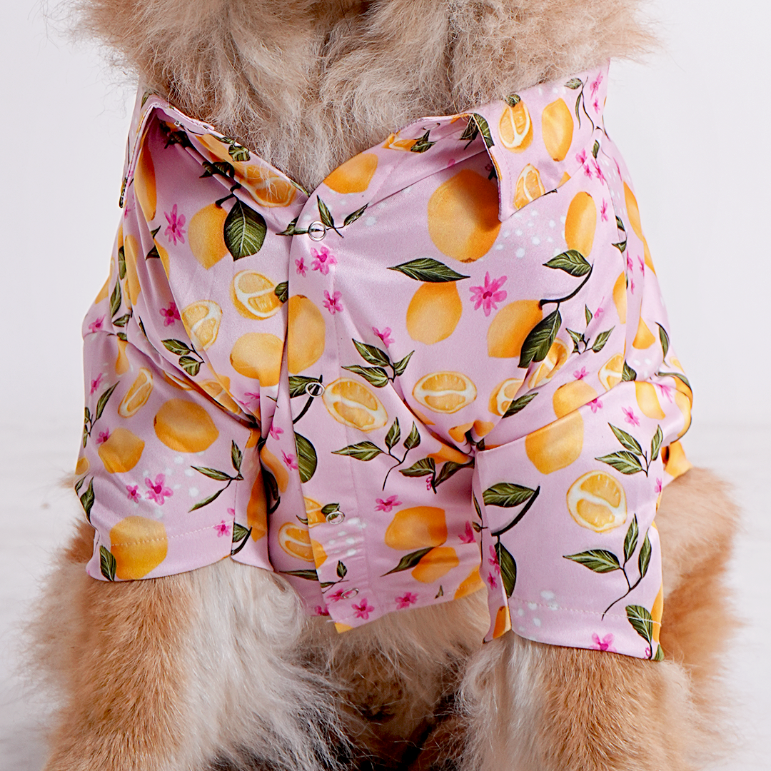 Printed Shirt for Dogs - Pink Petal Picnic
