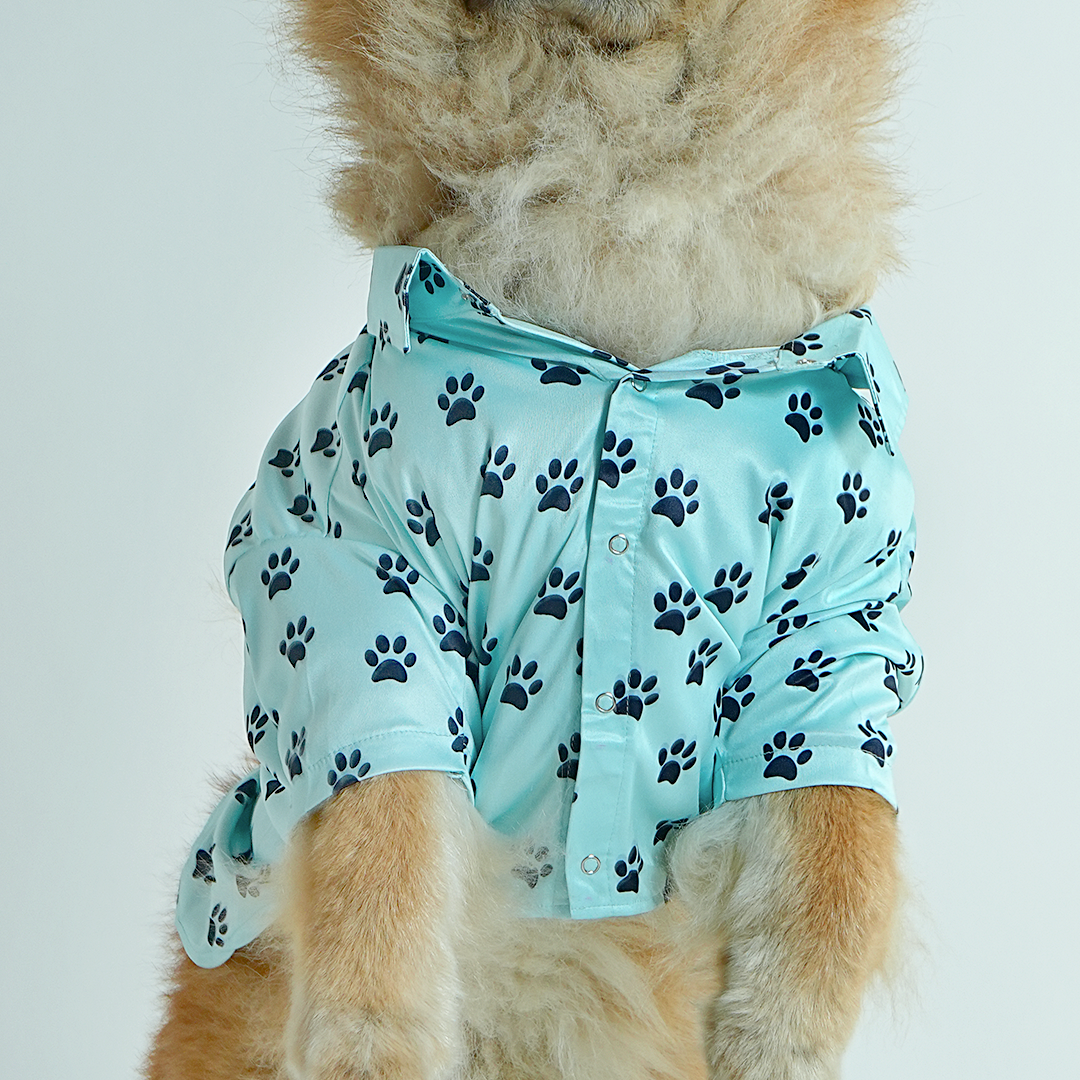 Printed Shirt for Dogs - Blue’s Clues
