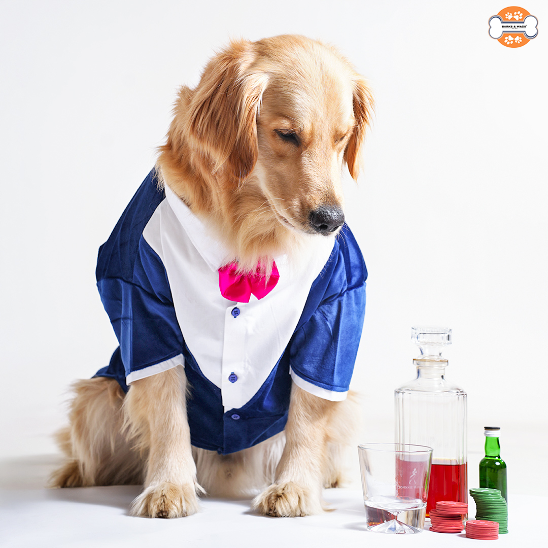 Tuxedo For Dogs With Pink Bow Tie