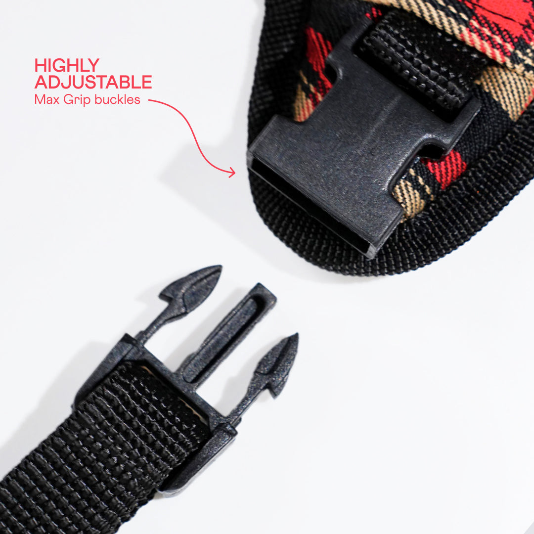 harness & leash