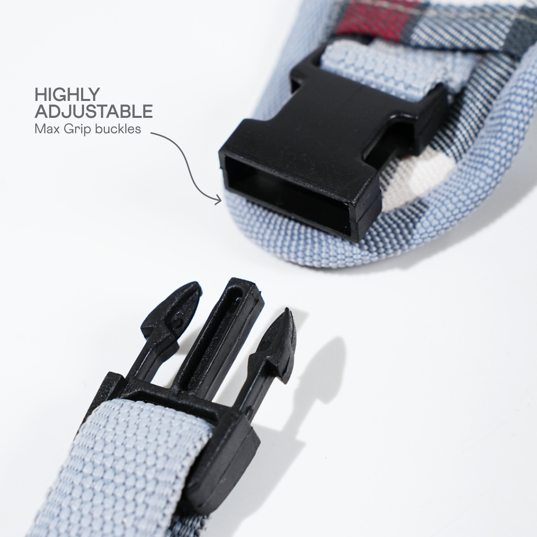 harness & leash