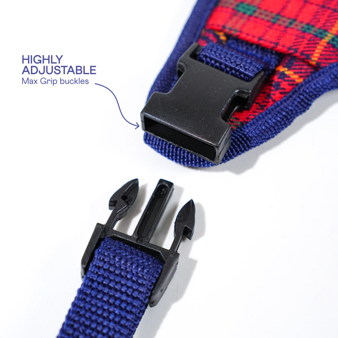 harness & leash
