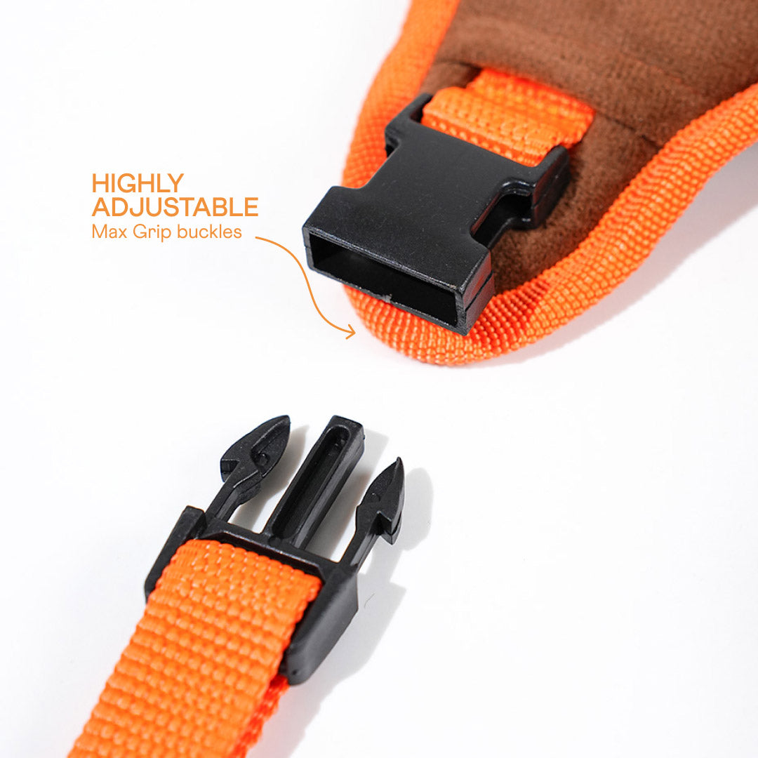 harness & leash