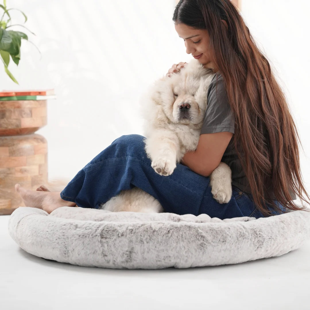 2-in-1 Temperature-Regulating Dog Bed - Greystone