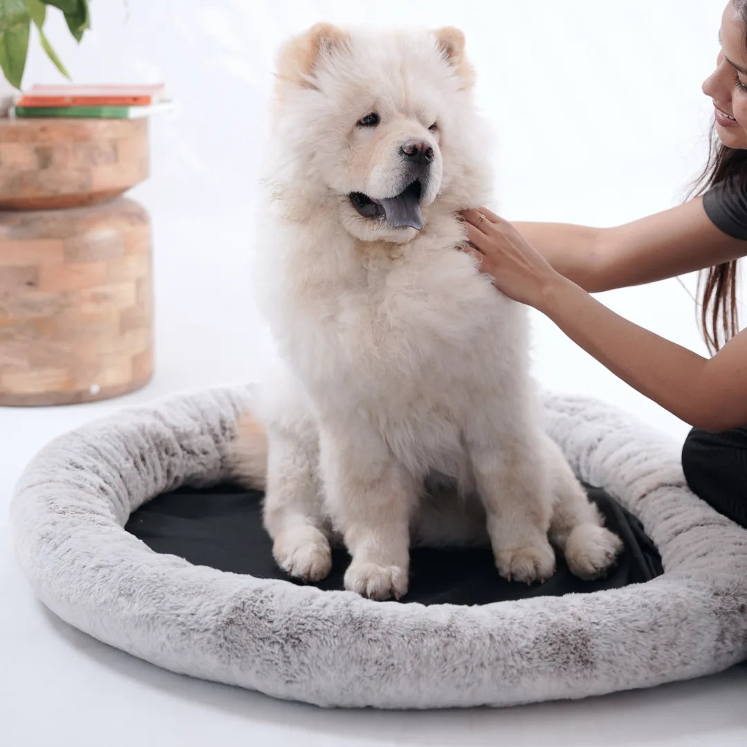 2-in-1 Temperature-Regulating Dog Bed - Greystone
