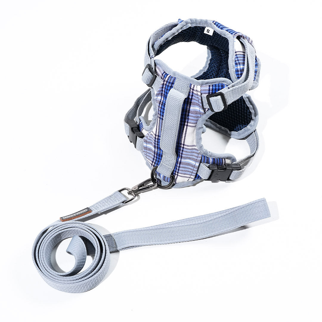 harness & leash