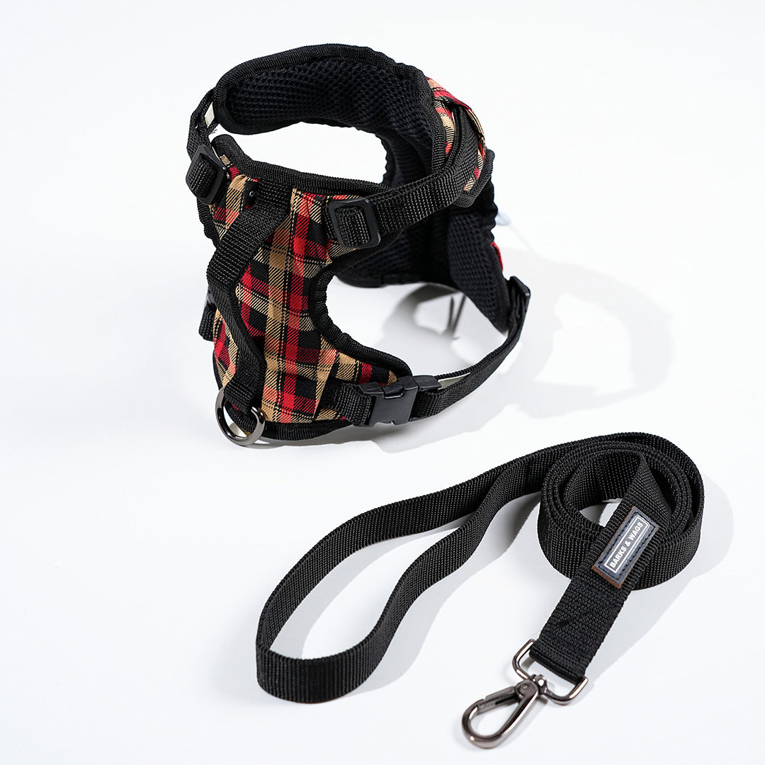 harness & leash