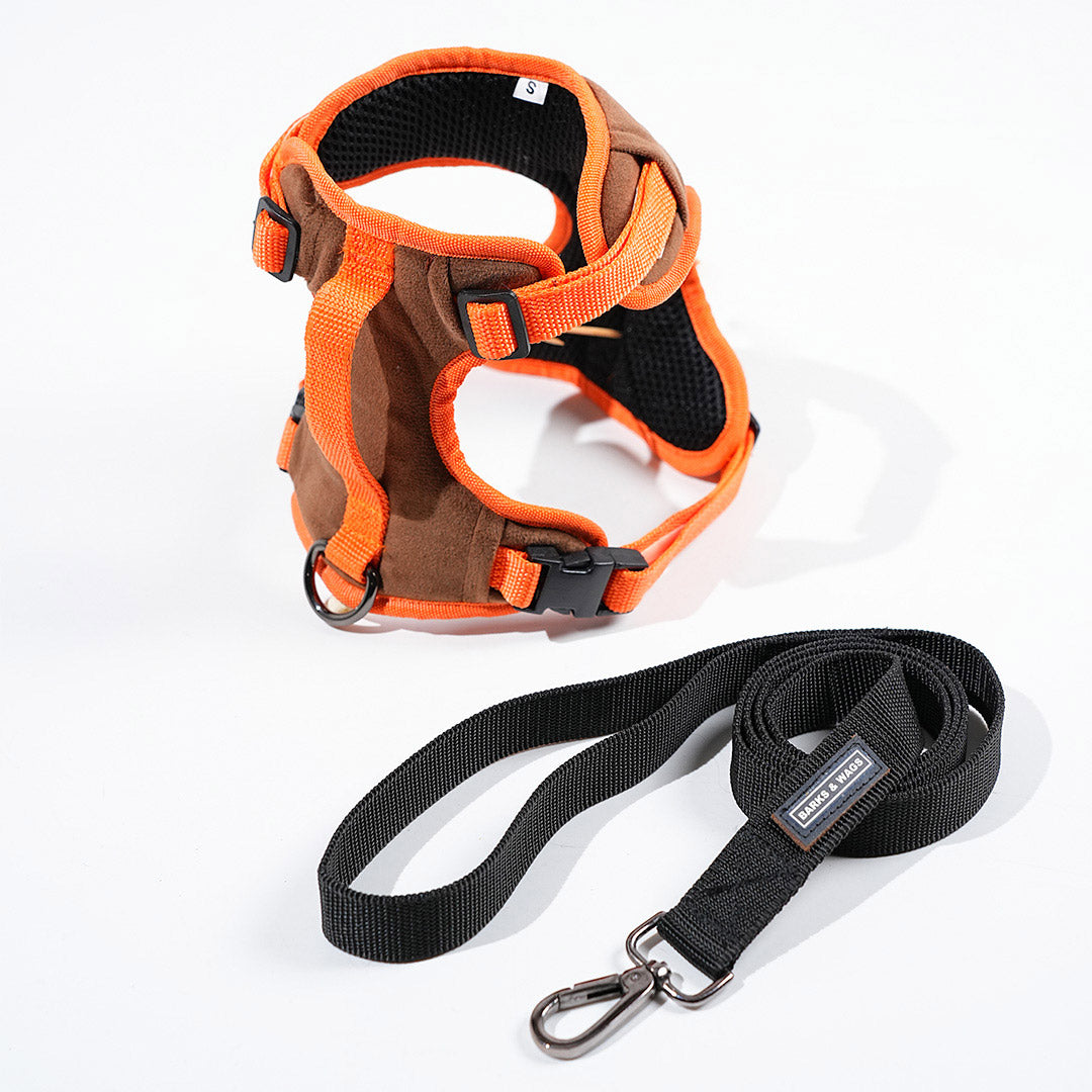 harness & leash