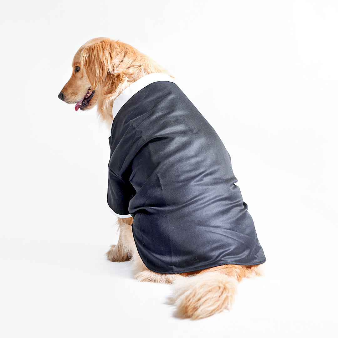 Tuxedos For Dogs - With Red Bow Tie
