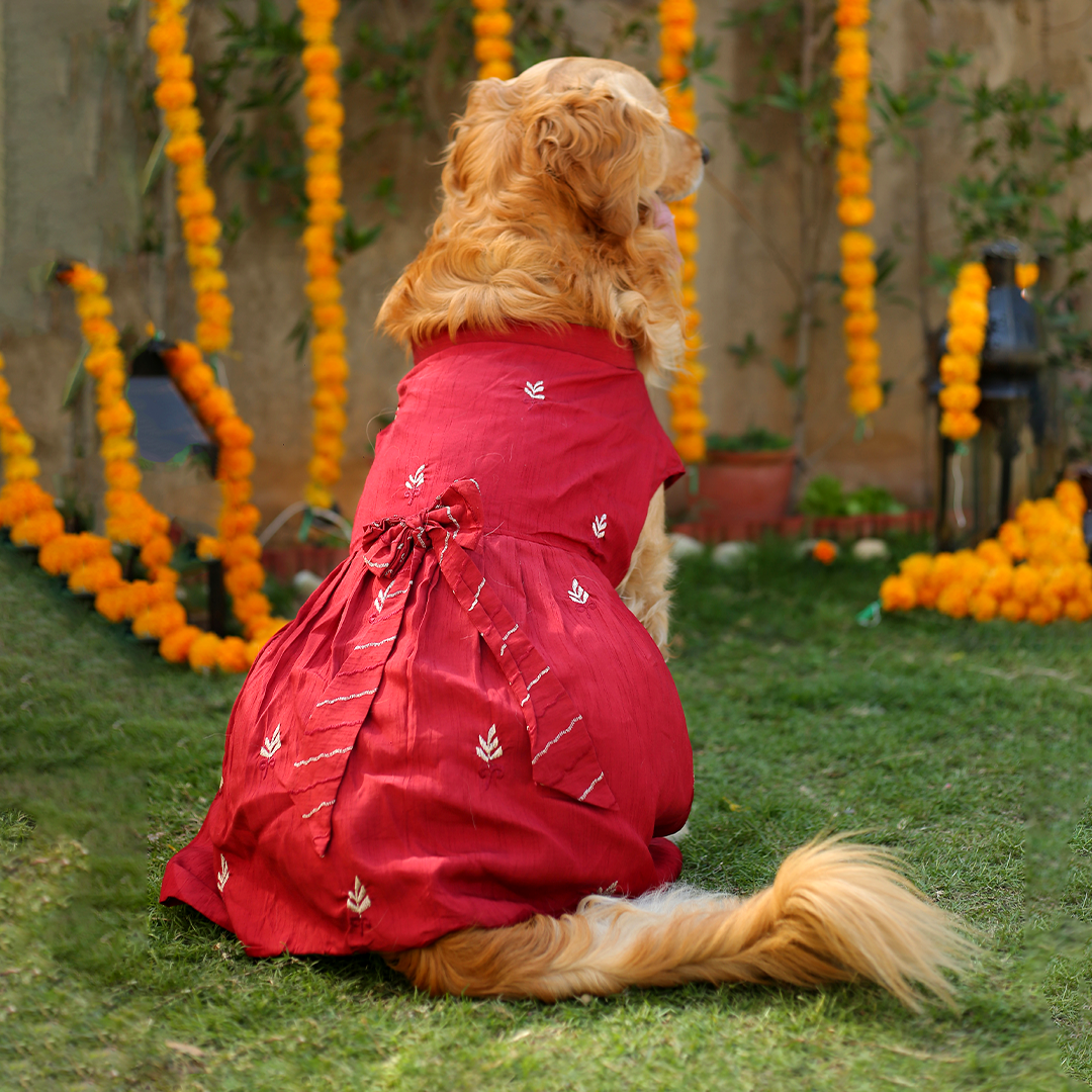 Embroidered Designer Lehenga - Red