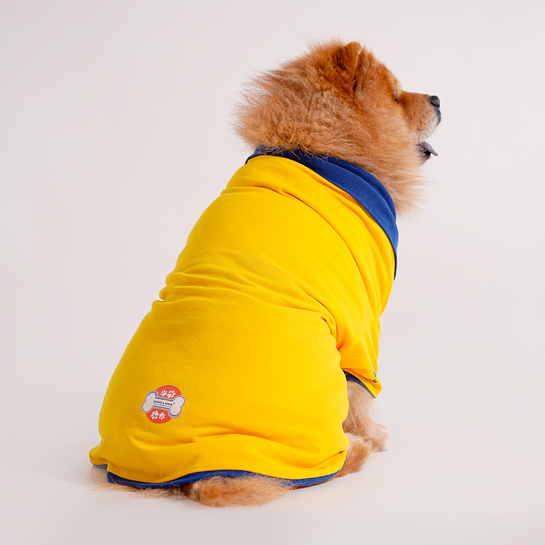 Yellow Polo Dog Tshirt (Royal Blue Collar)