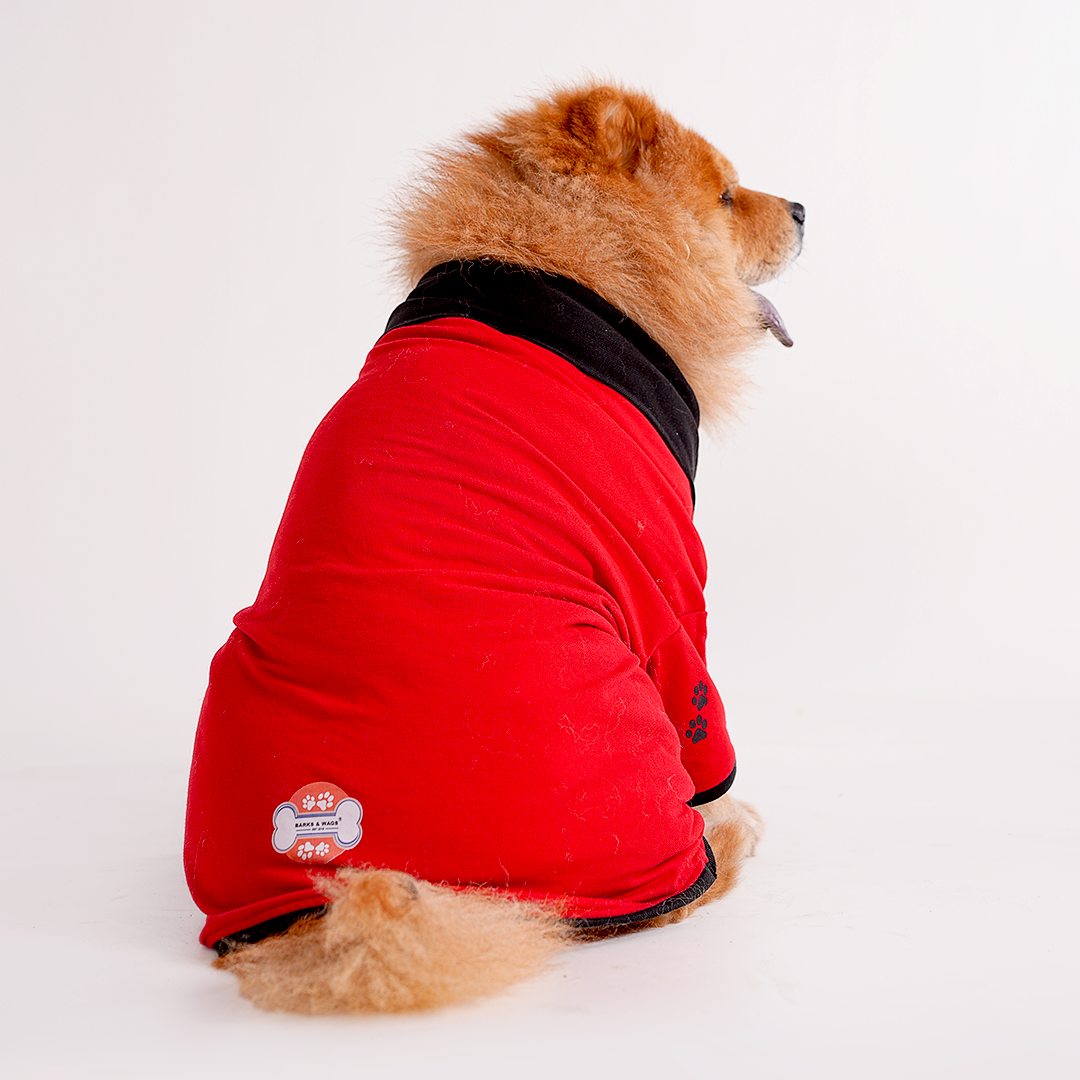 Red Polo Dog Tshirt (Black Collar)