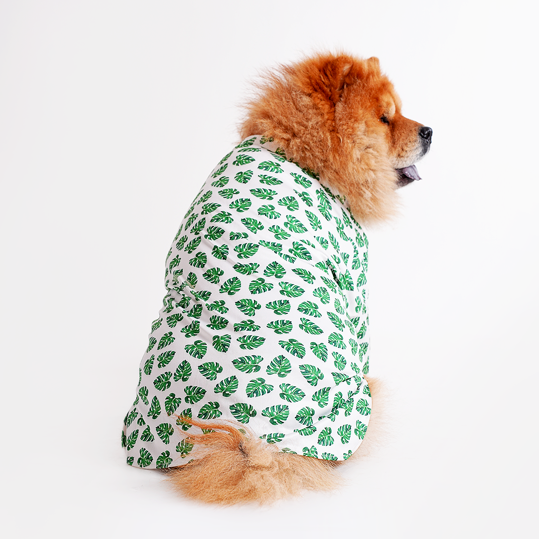 Printed Shirts For Dogs - Havana Palms BBQ