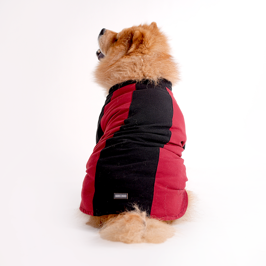 Polo Dog Tshirt (Black & Maroon)