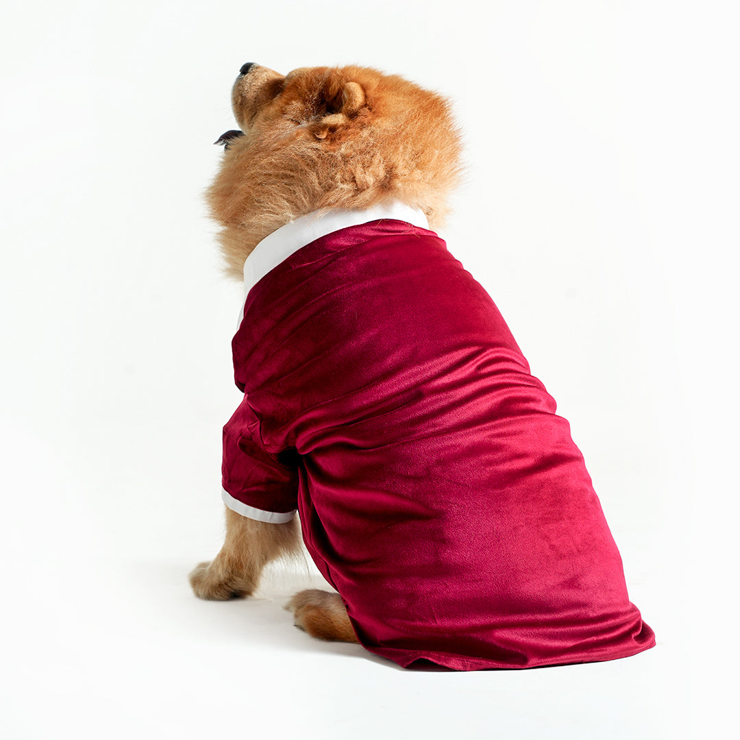 Tuxedo For Dogs With Black Bow Tie