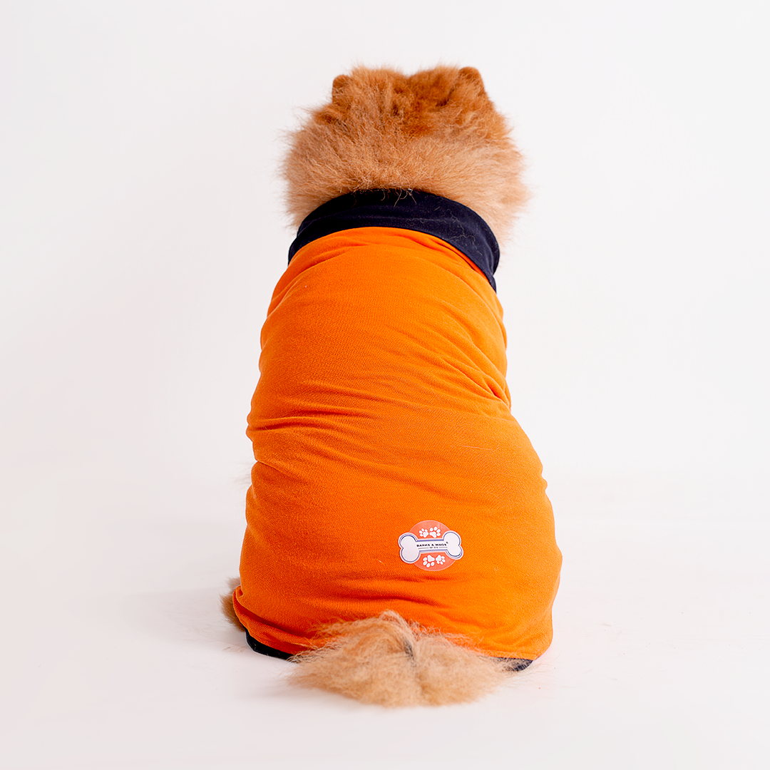 Orange Polo Dog Tshirt (Navy Blue Collar)