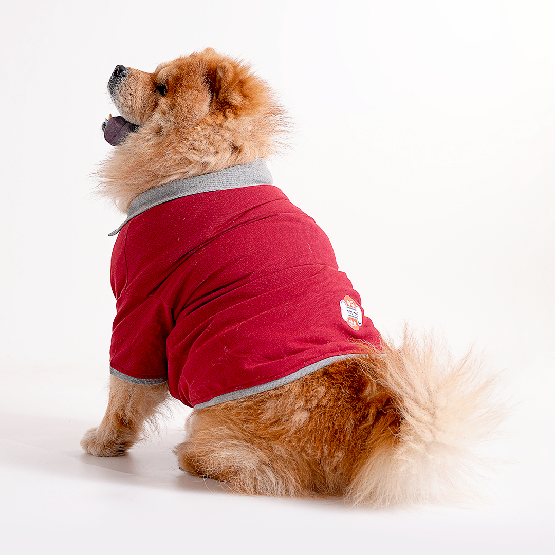 Polo Dog Tshirt (Maroon & Grey)