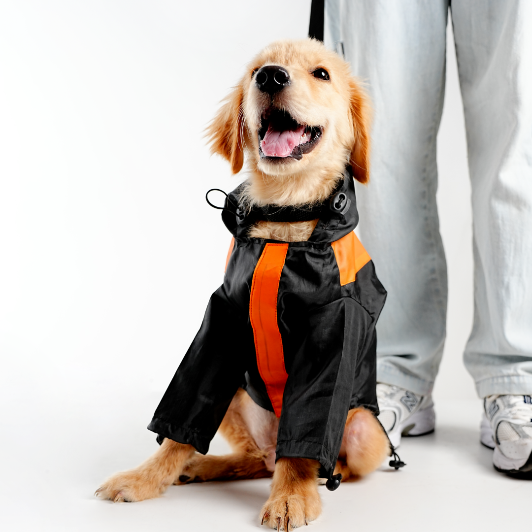 bark and wags raincoat