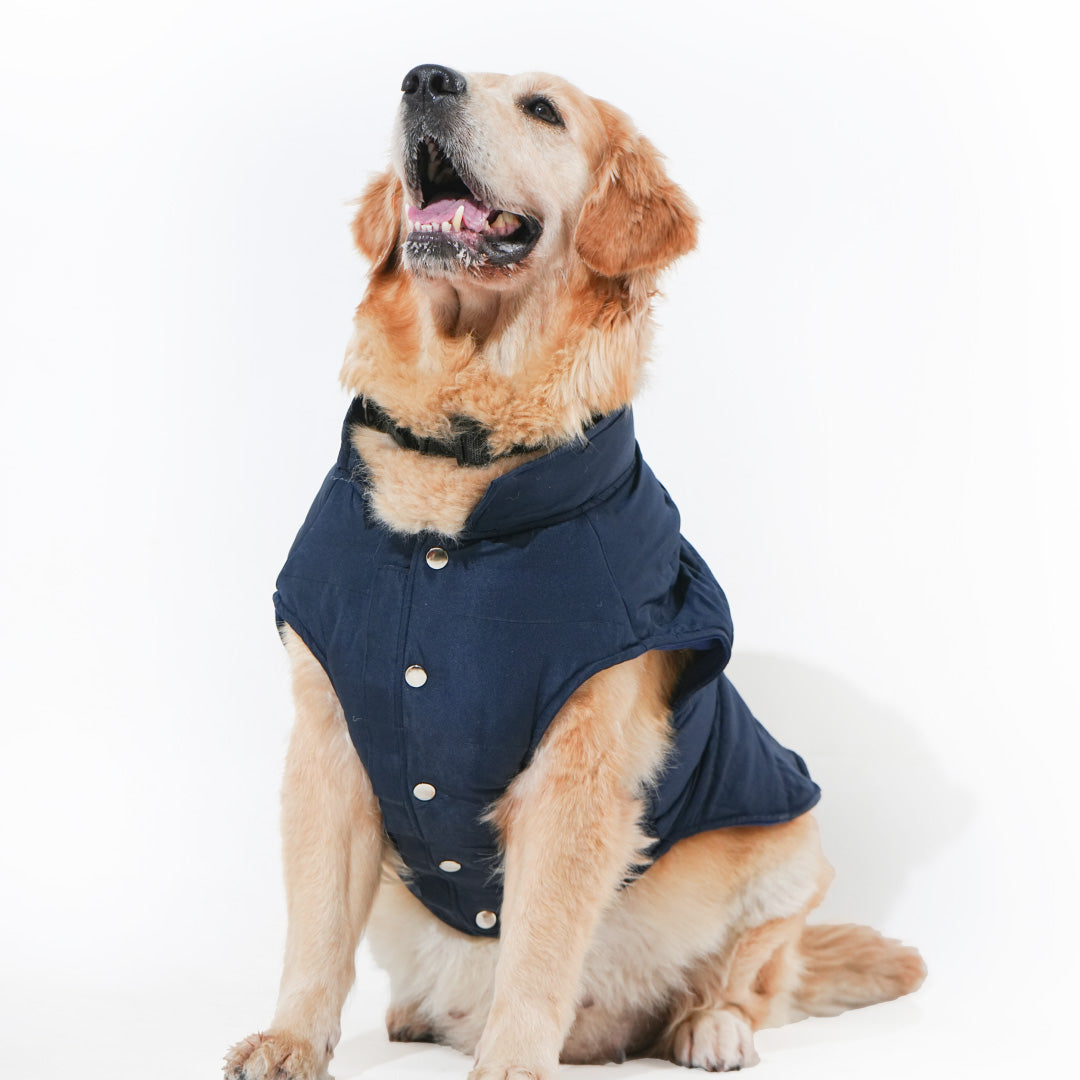 Pawfect Shield Puffer Jacket - Blue