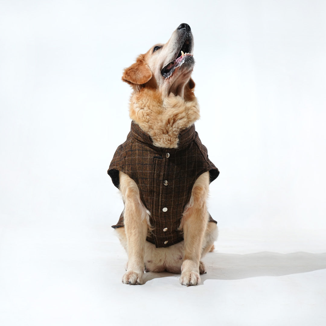 Pawfect Shield Puffer Jacket - Checkered Brown