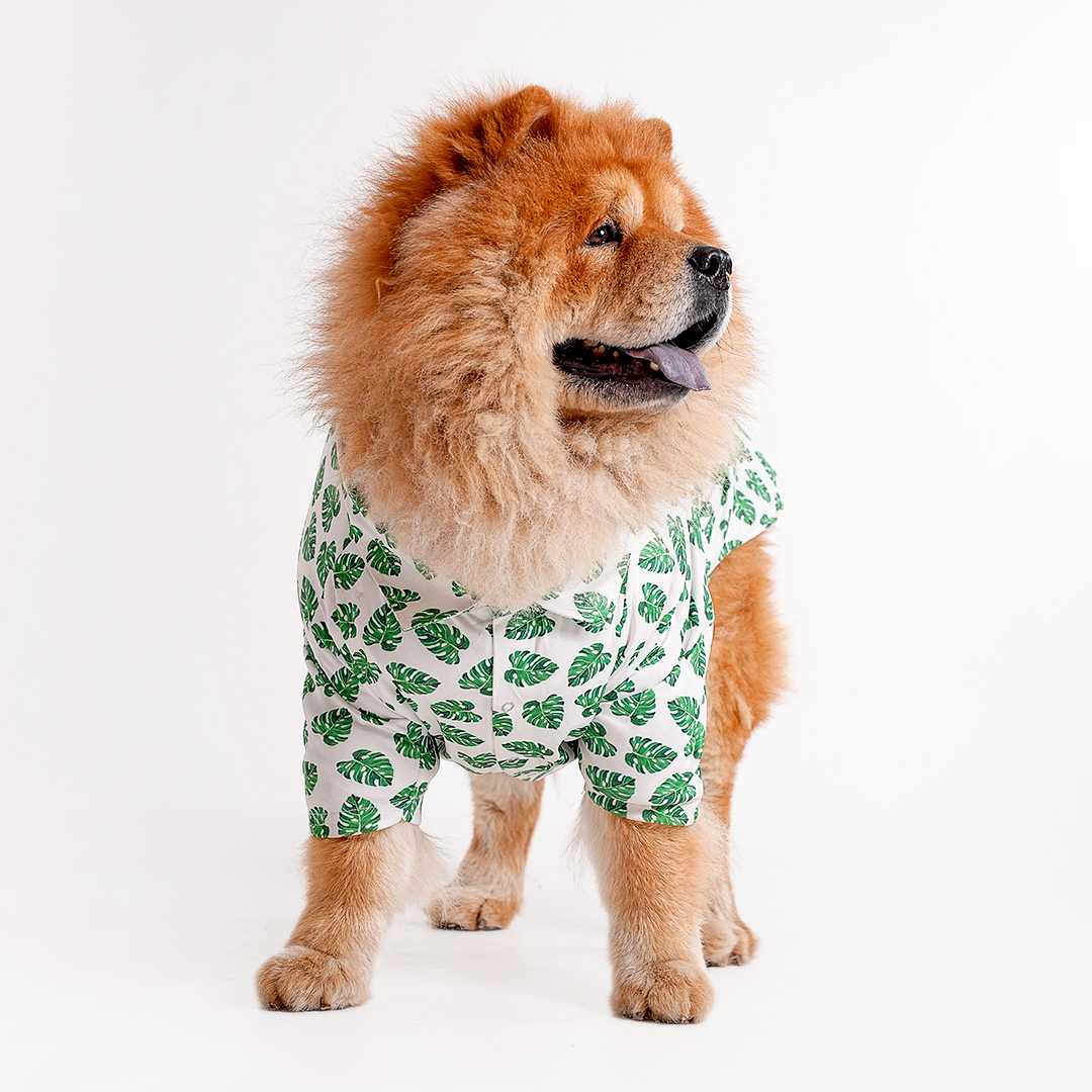 Printed Shirts For Dogs - Havana Palms BBQ