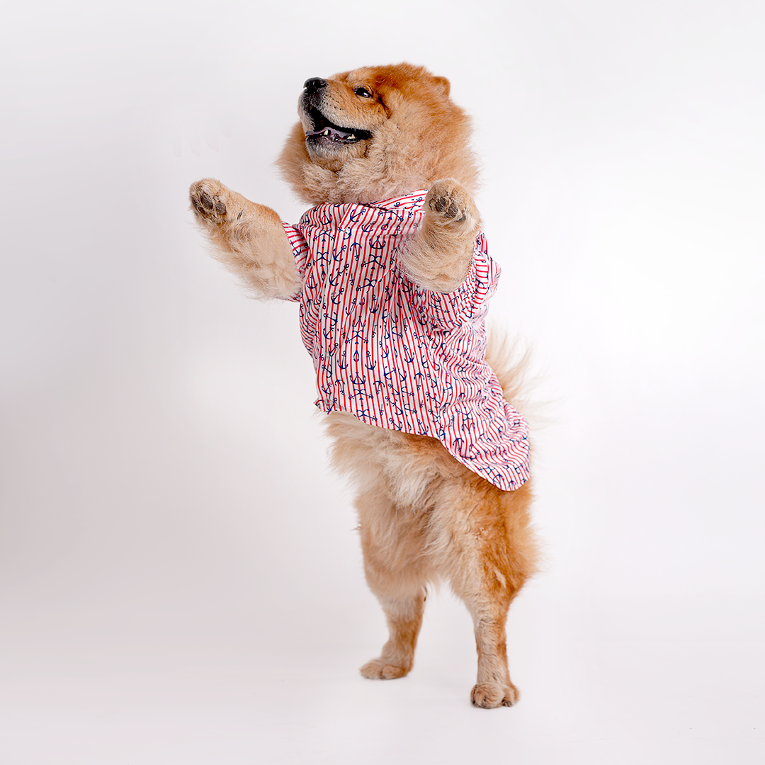 Printed Shirts For Dogs - Maritime Nautical