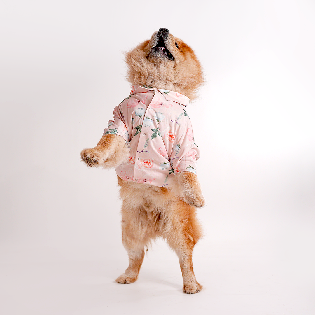 Printed Shirts For Dogs - Baby Pink Floral